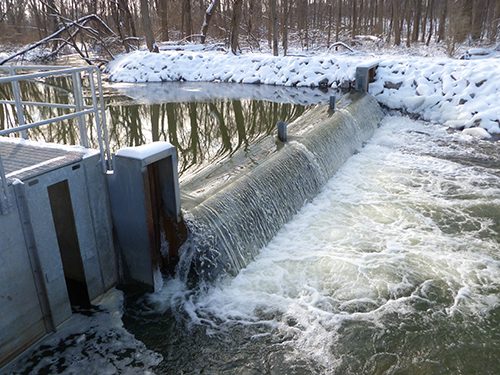 Sea lamprey barrier and fish ladder trap in the winter